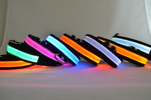 LED Light-Up Dog Collar for Night Safety