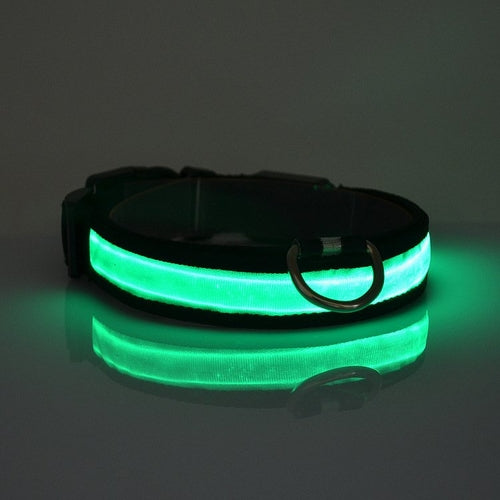 LED Light-Up Dog Collar for Night Safety
