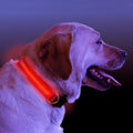 LED Light-Up Dog Collar for Night Safety