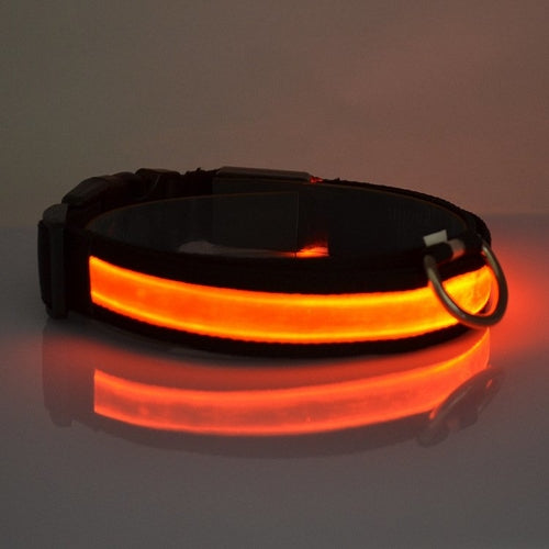 LED Light-Up Dog Collar for Night Safety
