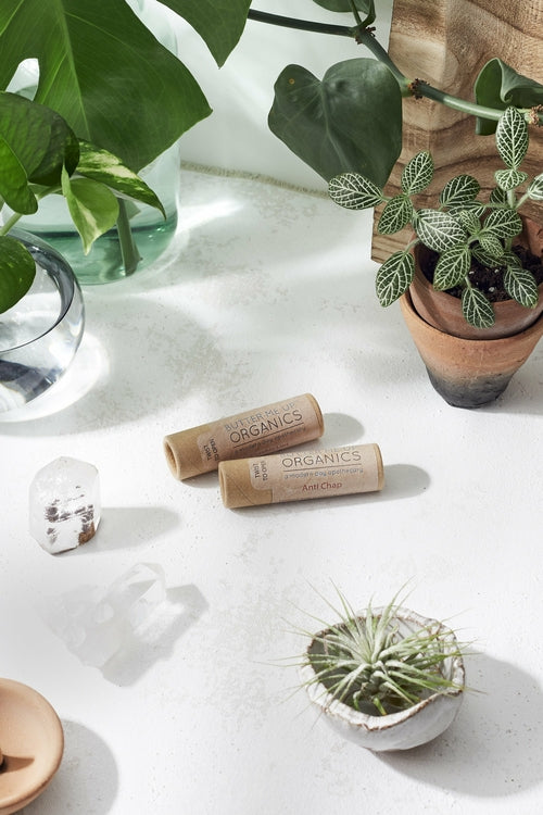 Organic Lip Balm – Natural SPF-15 Moisture & Chap Relief