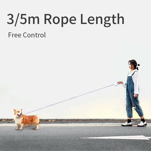 Retractable LED Dog Leash with Light & Brake