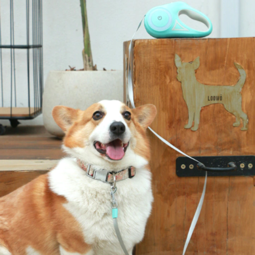 Retractable LED Dog Leash with Light & Brake