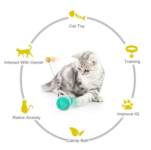 Interactive Tumbler Wheel Cat Toy