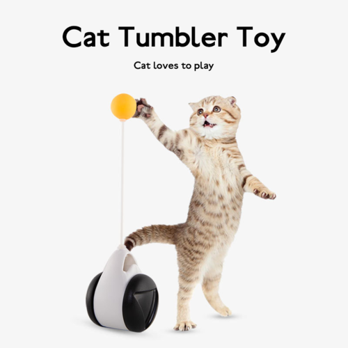 Interactive Tumbler Wheel Cat Toy